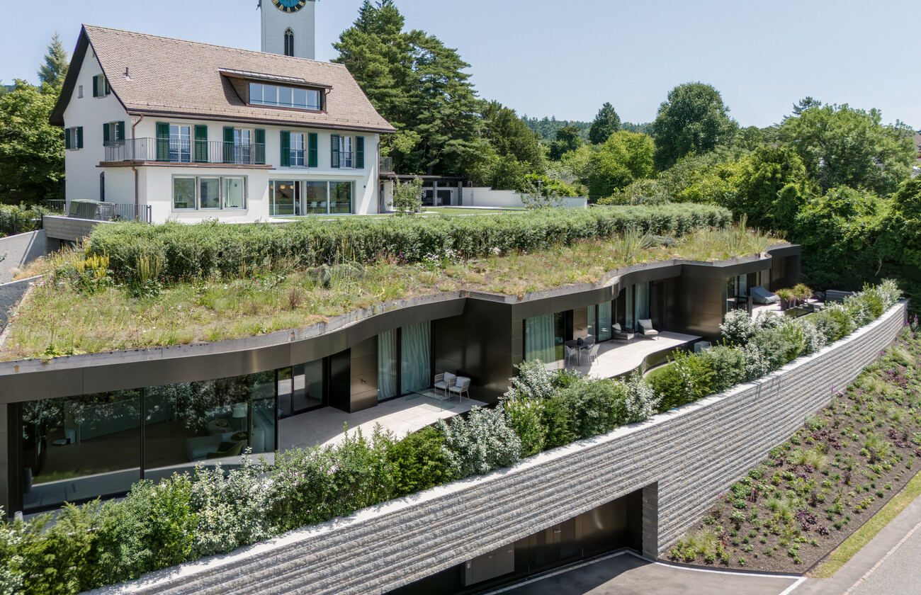 Townhouses, Lake Zurich
