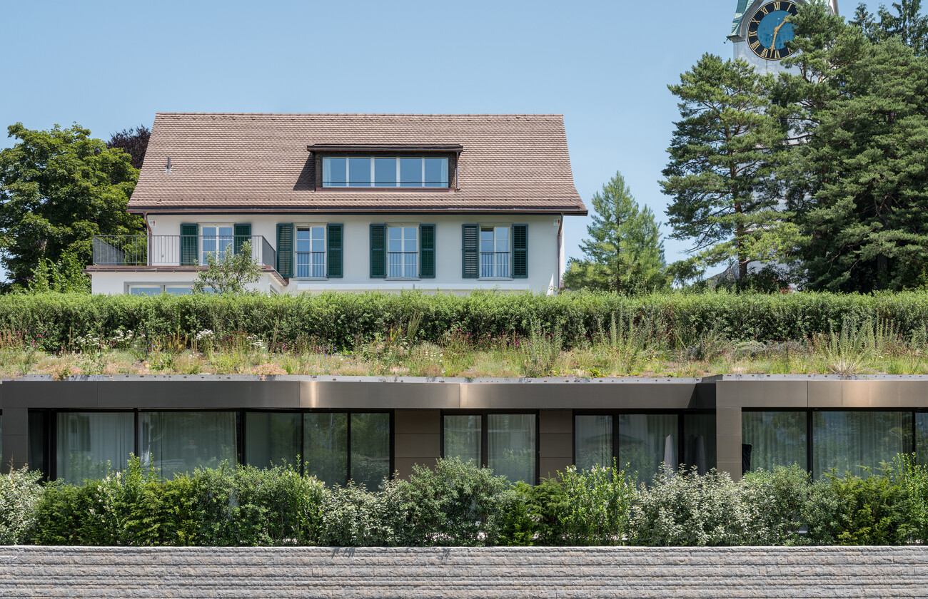 Villa Conversion, Lake Zurich