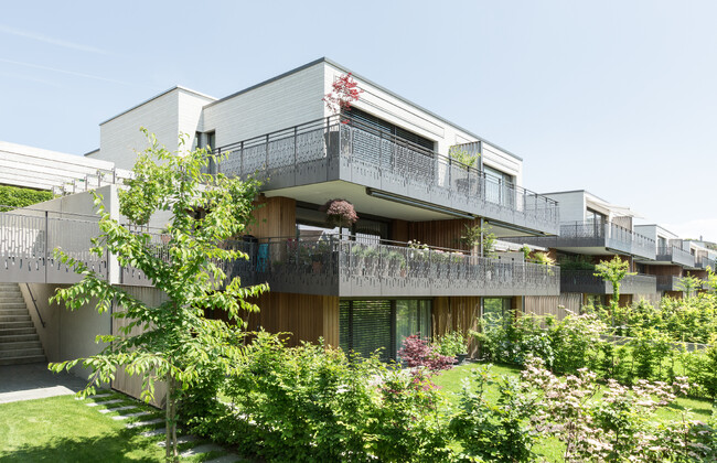 Residential development, Erlenbach